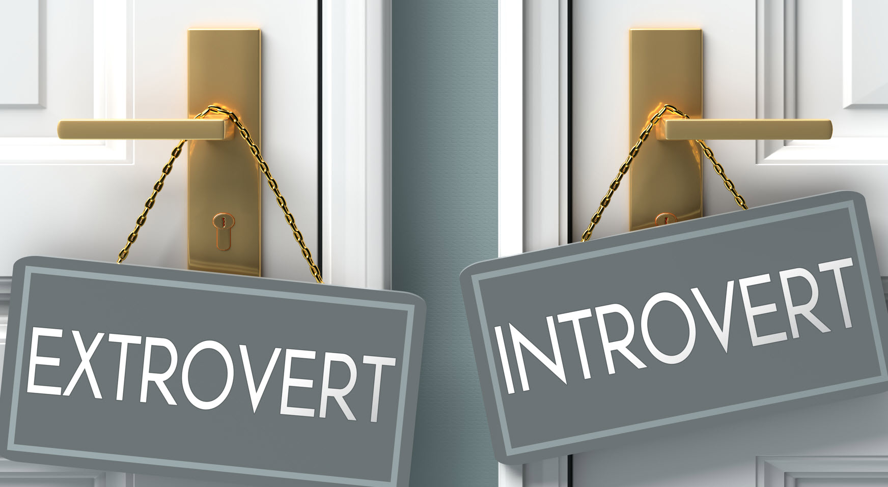 introvert, extrovert, introversion, extraversion, extroverted, extravert, extroverted introvert
