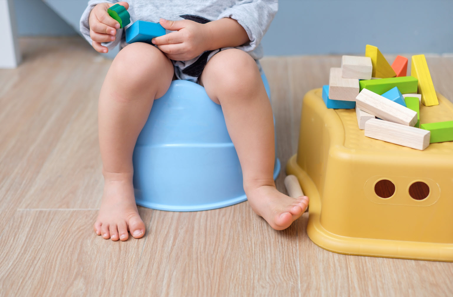 toilet training, training toilet, potty training